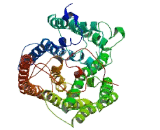 Zinc Finger Protein 728 (ZNF728)