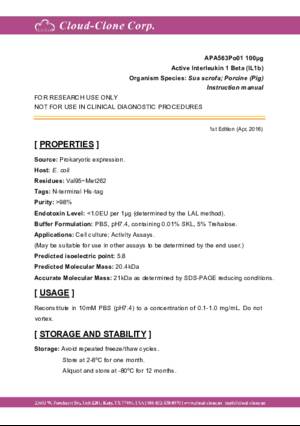 Active-Interleukin-1-Beta-(IL1b)-APA563Po01.pdf