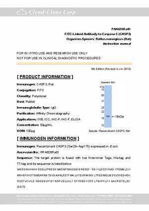 FITC-Linked-Antibody-to-Caspase-3--CASP3--PAA626Ra81.pdf
