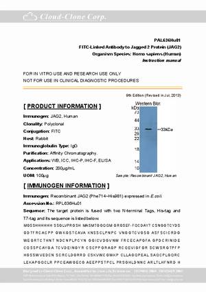 FITC-Linked-Antibody-to-Jagged-2-Protein--JAG2--PAL636Hu81.pdf