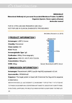 Antibody-to-Lysosomal-Associated-Membrane-Protein-2--LAMP2--A91464Hu22.pdf