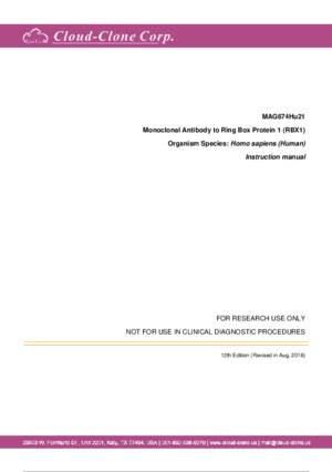 Monoclonal-Antibody-to-Ring-Box-Protein-1-(RBX1)-MAG674Hu21.pdf