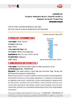 Polyclonal-Antibody-to-Selectin--Endothelium--SELE--pA90029Po02.pdf