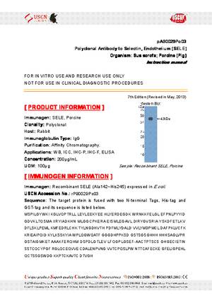 Polyclonal-Antibody-to-Selectin--Endothelium--SELE--pA90029Po03.pdf