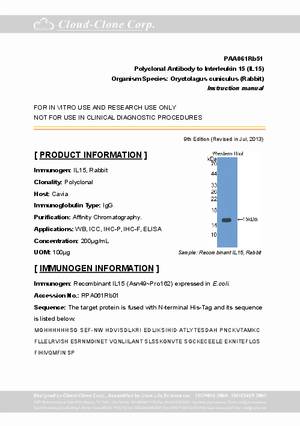 Antibody-to-Interleukin-15--IL15--A90061Rb01.pdf