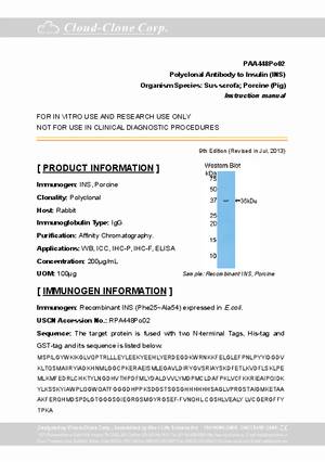 Polyclonal-Antibody-to-Insulin--INS--PAA448Po02.pdf