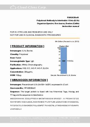 Polyclonal-Antibody-to-Interleukin-1-Beta--IL1b--PAA563Bo01.pdf