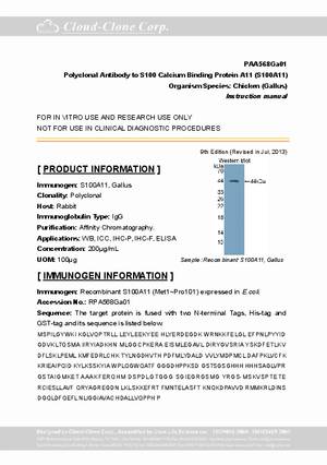 Polyclonal-Antibody-to-S100-Calcium-Binding-Protein-A11--S100A11--PAA568Ga01.pdf