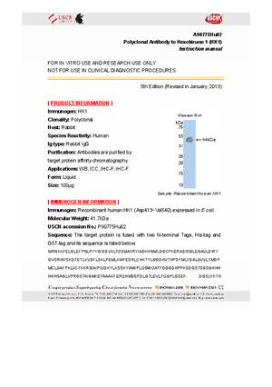 Antibody-to-Hexokinase-1--HK1--A90775Hu02.pdf
