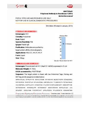 Antibody-to-Hexokinase-1--HK1--A90775Ra01.pdf