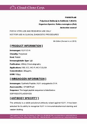 Polyclonal-Antibody-to-Kallikrein-1--KLK1--PAA967Ra08.pdf