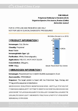 Polyclonal-Antibody-to-Clusterin--CLU--PAB180Bo01.pdf