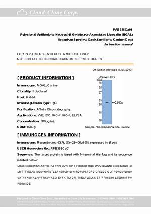 Antibody-to-Neutrophil-Gelatinase-Associated-Lipocalin--NGAL--A91388Ca01.pdf