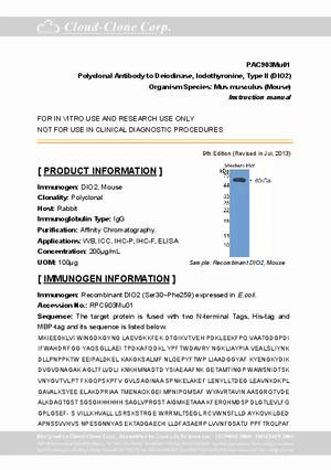 Polyclonal-Antibody-to-Deiodinase--Iodothyronine--Type-II--DIO2--PAC903Mu01.pdf