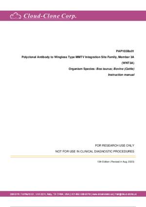 Polyclonal-Antibody-to-Wingless-Type-MMTV-Integration-Site-Family--Member-3A-(WNT3A)-PAP155Bo01.pdf
