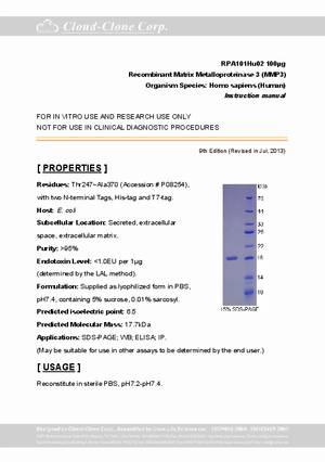 Recombinant-Matrix-Metalloproteinase-3--MMP3--RPA101Hu02.pdf