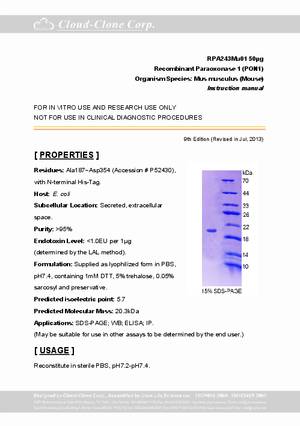 Paraoxonase-1--PON1--P90243Mu01.pdf