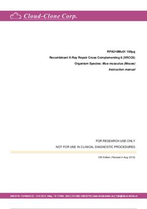 Recombinant-X-Ray-Repair-Cross-Complementing-6-(XRCC6)-RPA316Mu01.pdf