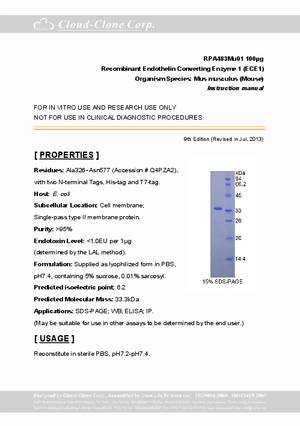 Endothelin-Converting-Enzyme-1--ECE1--rP90483Mu01.pdf
