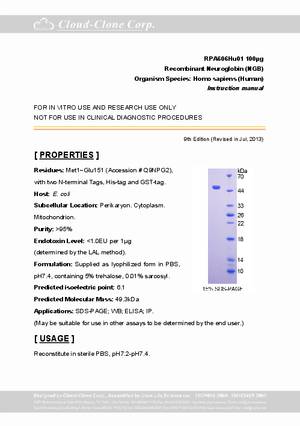 Recombinant-Neuroglobin--NGB--RPA606Hu01.pdf