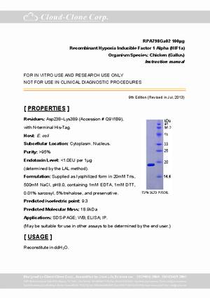 Hypoxia-Inducible-Factor-1-Alpha--HIF1a--P90798Ga02.pdf