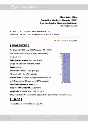 Cadherin--Placental--CDHP--rP91013Mu02.pdf