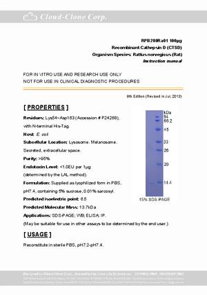 Cathepsin-D--CTSD--rP91280Ra01.pdf