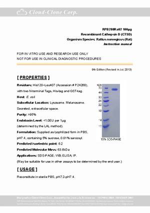 Cathepsin-D--CTSD--rP91280Ra02.pdf