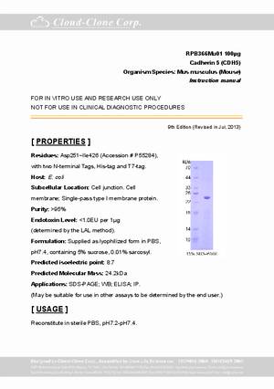 Cadherin-5--CDH5--RPB366Mu01.pdf