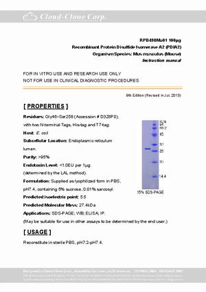 Recombinant-Protein-Disulfide-Isomerase-A2--PDIA2--RPB498Mu01.pdf