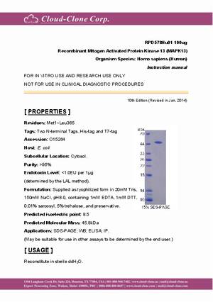 Recombinant-Mitogen-Activated-Protein-Kinase-13--MAPK13--RPD578Hu01.pdf