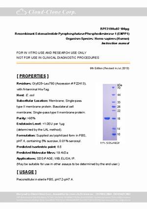 Ectonucleotide-Pyrophosphatase-Phosphodiesterase-1--ENPP1--P95219Hu02.pdf