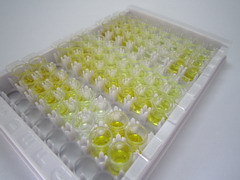 ELISA Kit for Androsterone (ADT)
