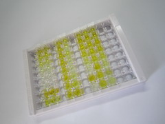 ELISA Kit for Glycated Hemoglobin A1c (HbA1c)