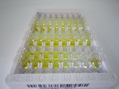 ELISA Kit for Copeptin (CPP)