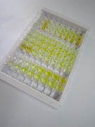 ELISA Kit for C-Peptide (CP)