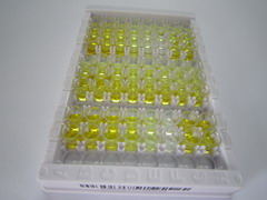 ELISA Kit for Immunoglobulin G (IgG)