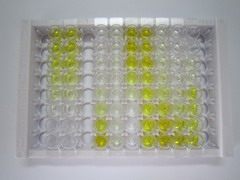 ELISA Kit for Lipoxin A4 (LXA4)