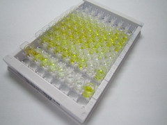 ELISA Kit for Carboxymethyl Lysine (CML)