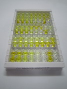 ELISA Kit for Urocortin 3 (UCN3)