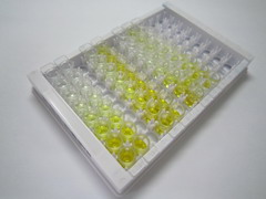 ELISA Kit for Tetrahydrofolic Acid (THFA)
