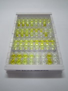 ELISA Kit for Docosahexaenoic Acid (DHA)