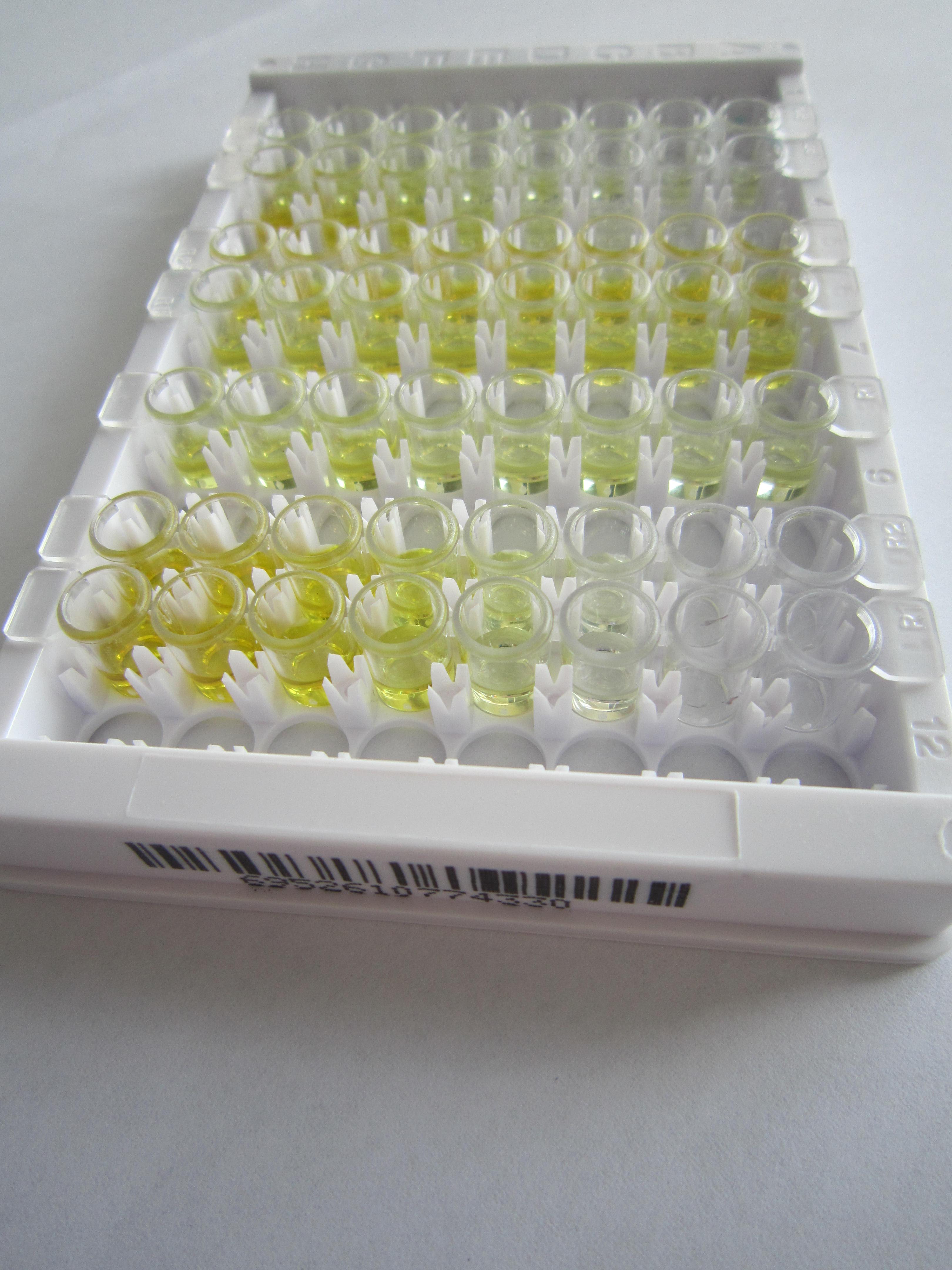 ELISA Kit for Mitochondrial Open Reading Frame Of The 12S rRNA-c (MOTS-c)