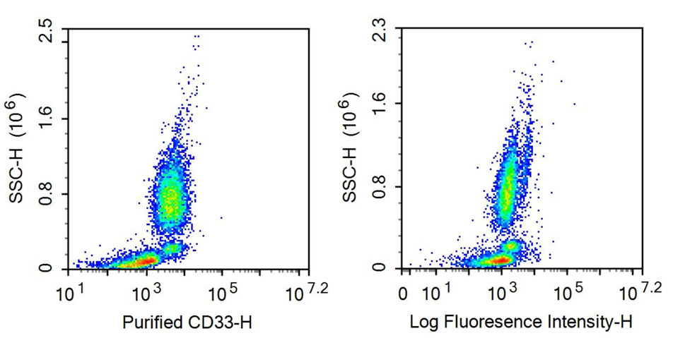 Anti-Cluster Of Differentiation 33 (CD33) Monoclonal Antibody