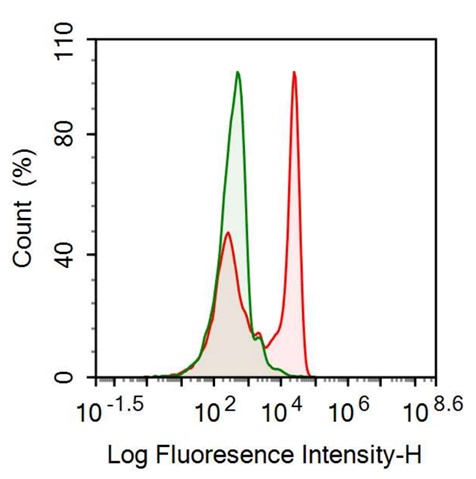 Anti-Fc Fragment Of IgG Low Affinity IIIa Receptor (FcgR3A) Monoclonal Antibody