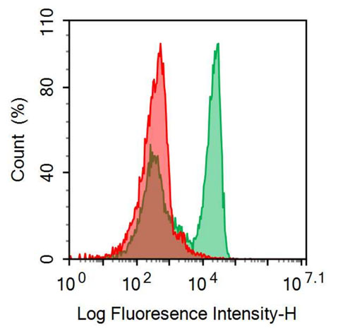 FITC-Linked Anti-Fc Fragment Of IgG Low Affinity IIIa Receptor (FcgR3A) Monoclonal Antibody