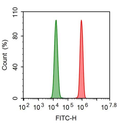 FITC-Linked Anti-Ki-67 Protein (Ki-67) Monoclonal Antibody