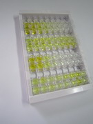 High Sensitive ELISA Kit for Procollagen III N-Terminal Propeptide (PIIINP)