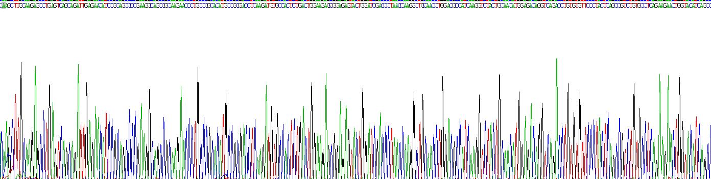 Recombinant Collagen Type I Alpha 1 (COL1a1)