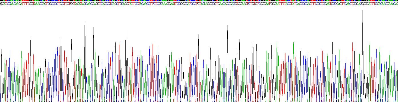 Recombinant Cluster Of Differentiation 28 (CD28)
